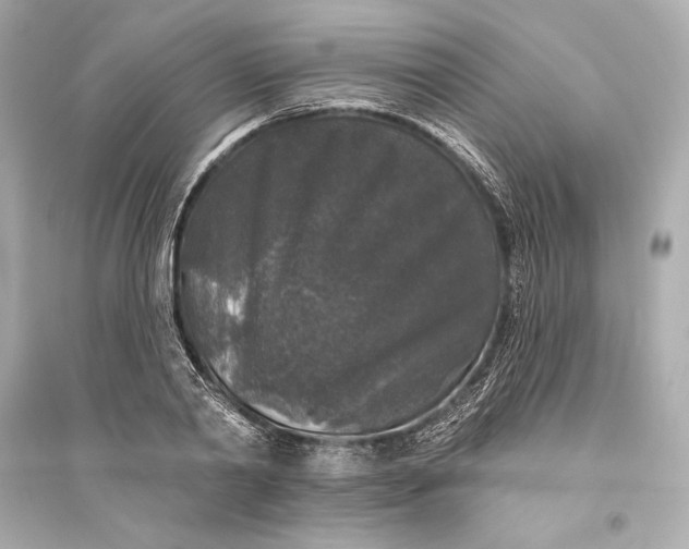 X0000094810790200711301550