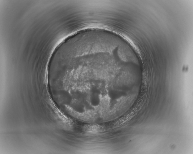 X0000094810791200711301550