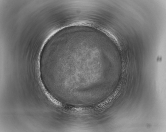 X0000094810792200711301550