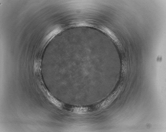 X0000094810793200711301550