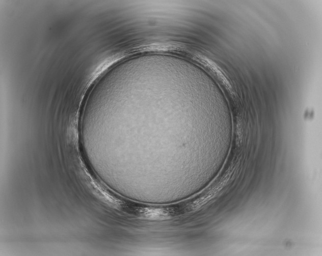 X0000094810794200711301550