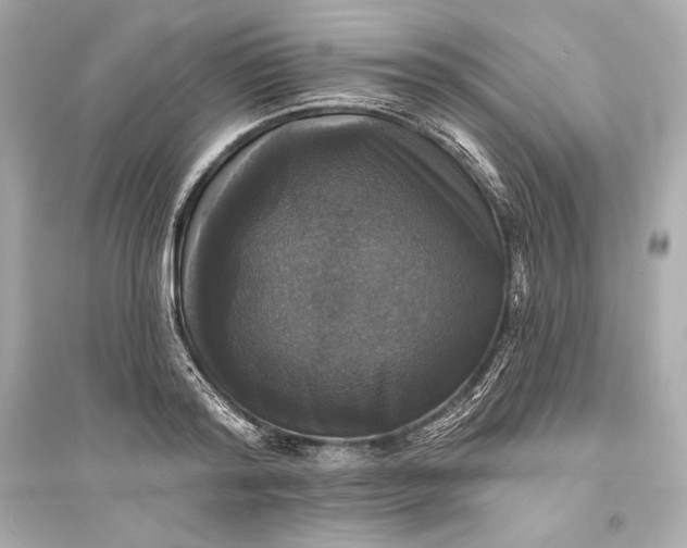 X0000094810796200711301550