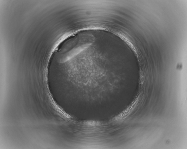 X0000094810797200711301550