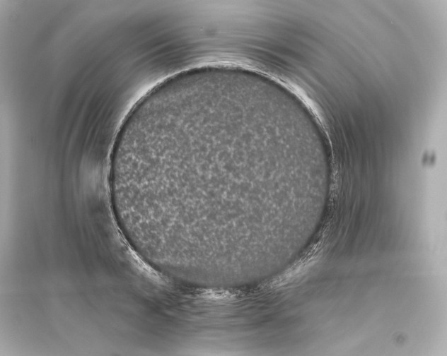 X0000094810799200711301550