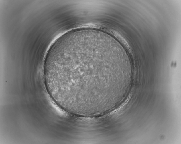 X0000094810800200711301550