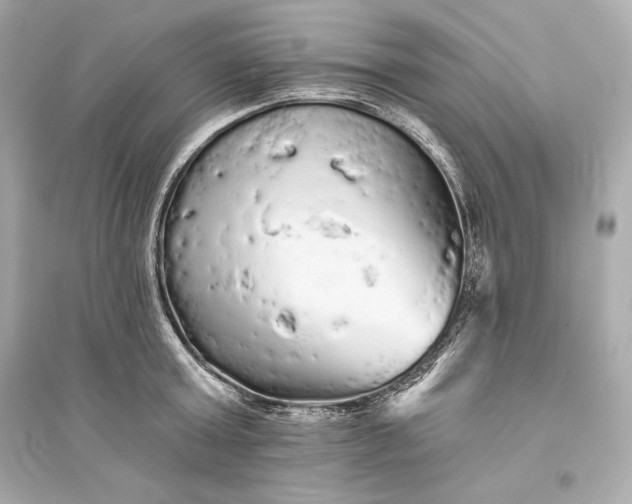 X0000094810803200711301550