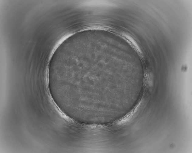 X0000094810804200711301550