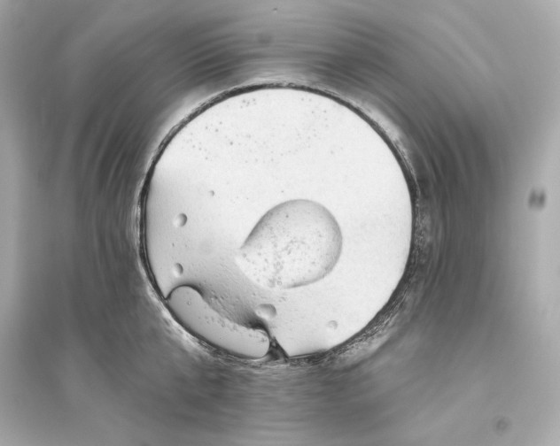 X0000094810807200711301550