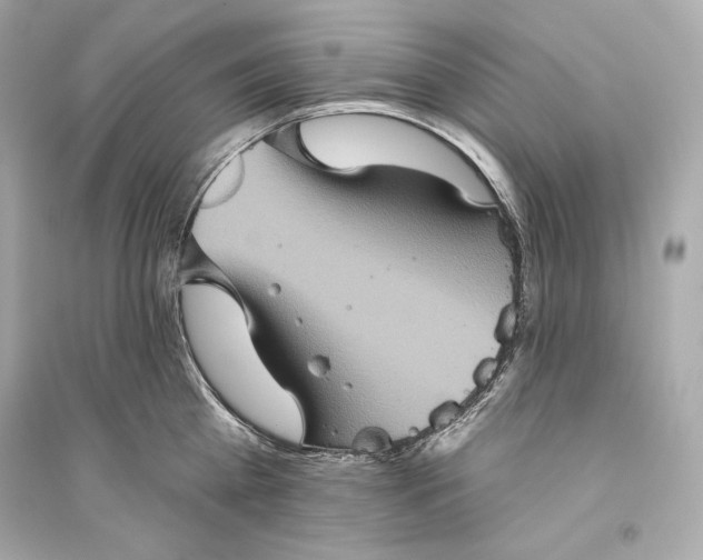 X0000094810809200711301550