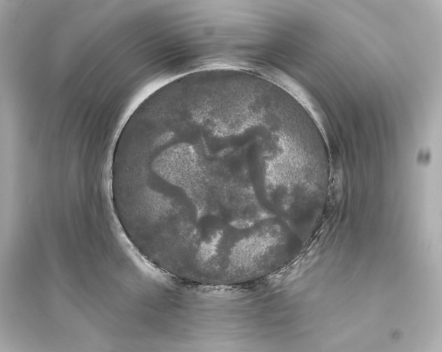 X0000094810811200711301550