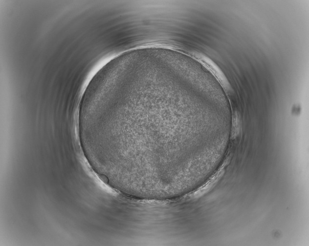 X0000094810812200711301550