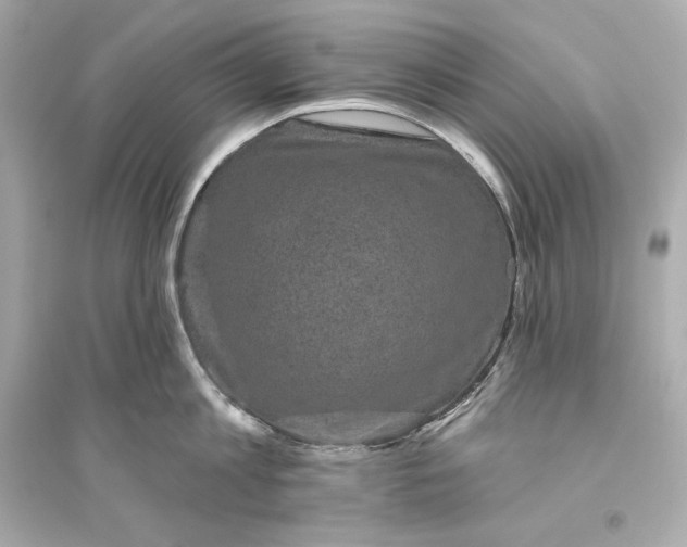 X0000094810813200711301550