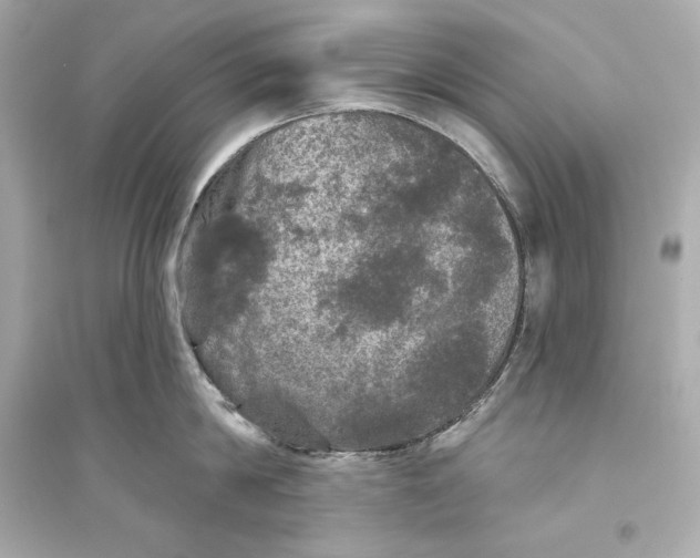 X0000094810814200711301550