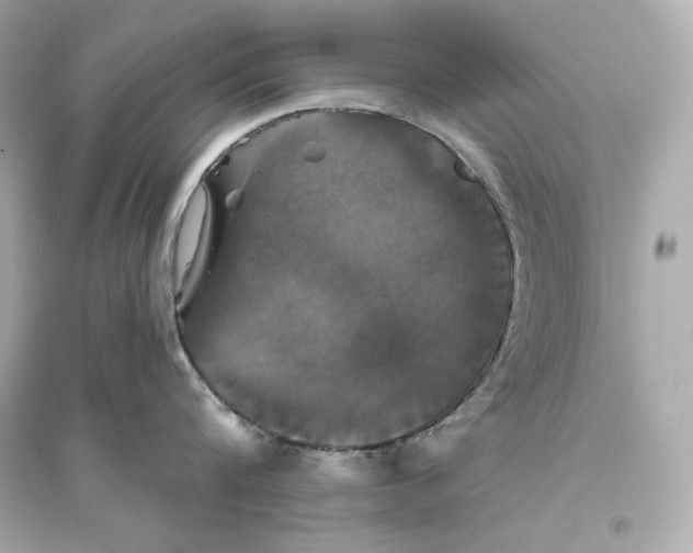 X0000094810816200711301550