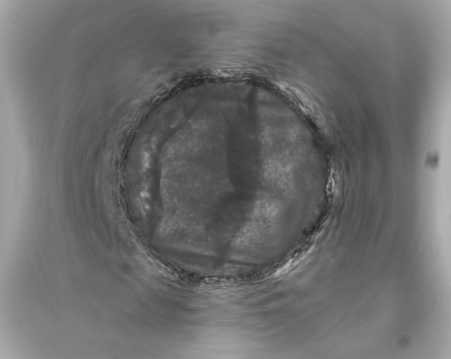 X0000094810817200711301549