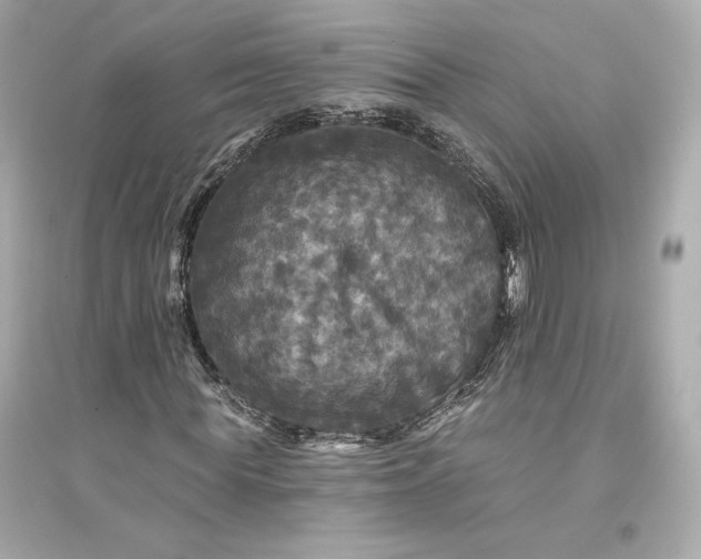 X0000094810819200711301549