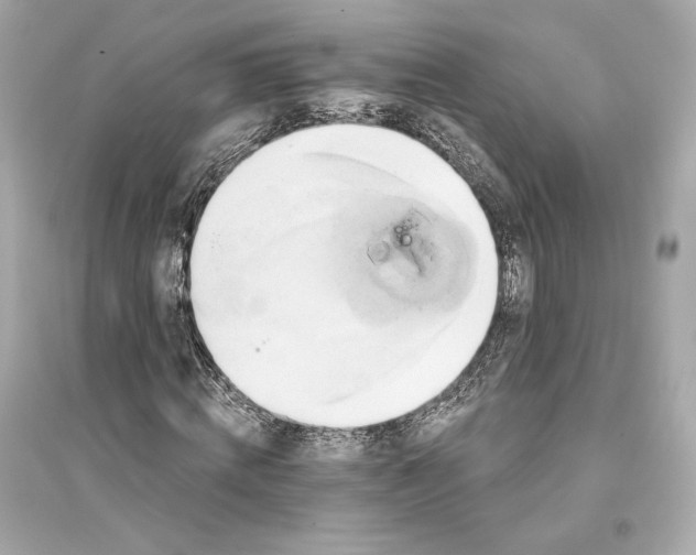 X0000094810820200711301549