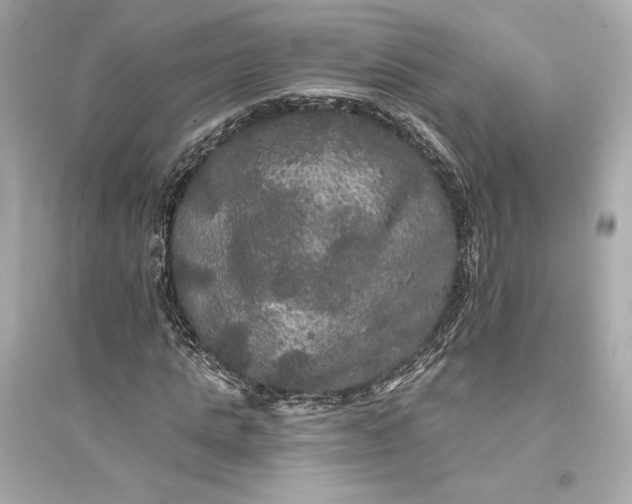 X0000094810821200711301549