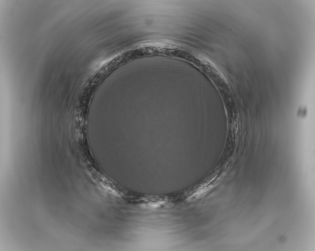 X0000094810822200711301549