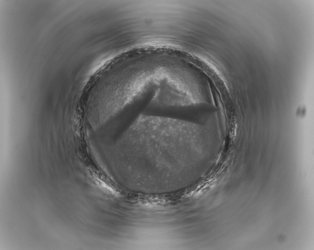 X0000094810823200711301549