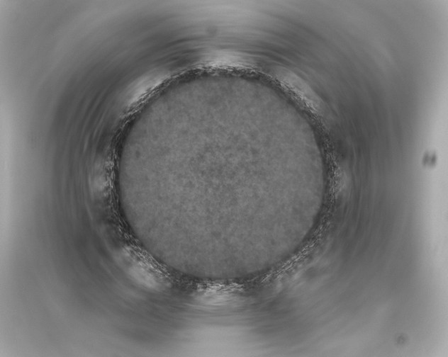 X0000094810824200711301549