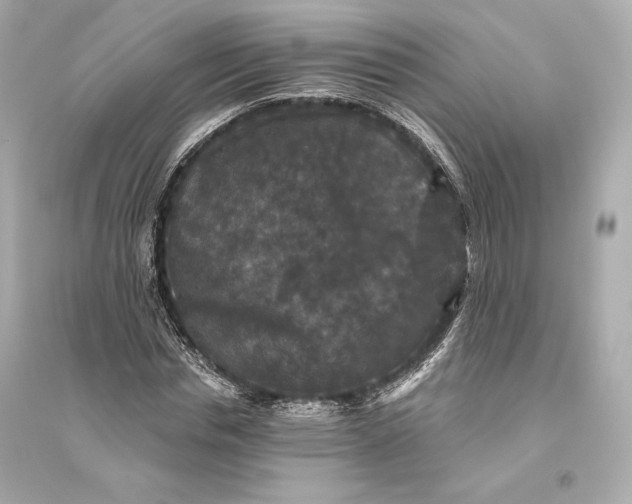 X0000094810826200711301549