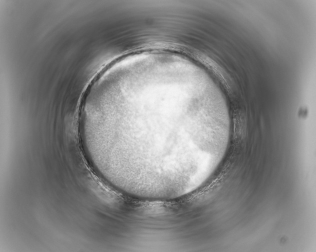 X0000094810828200711301549