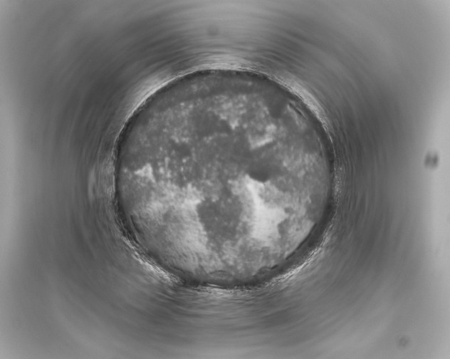 X0000094810829200711301549