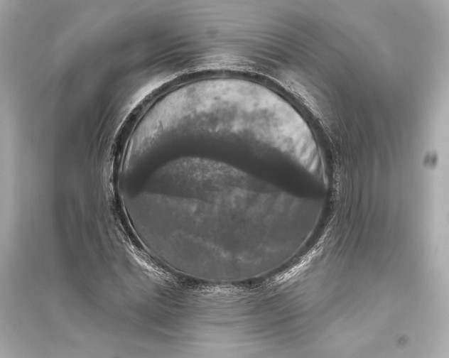 X0000094810830200711301549