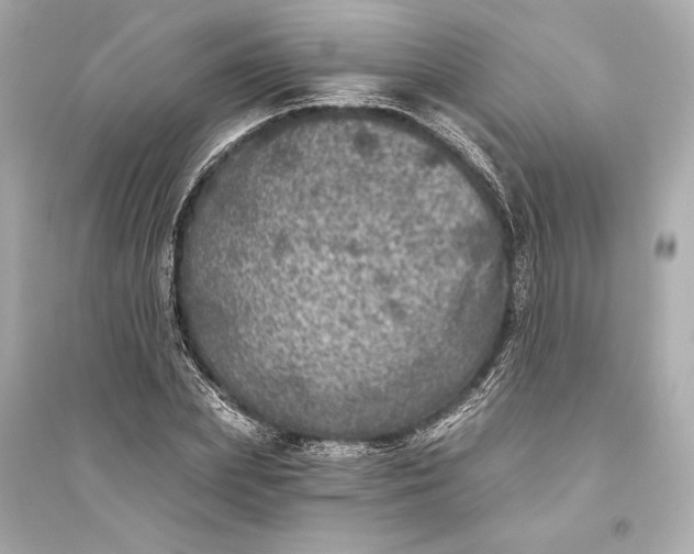 X0000094810831200711301549