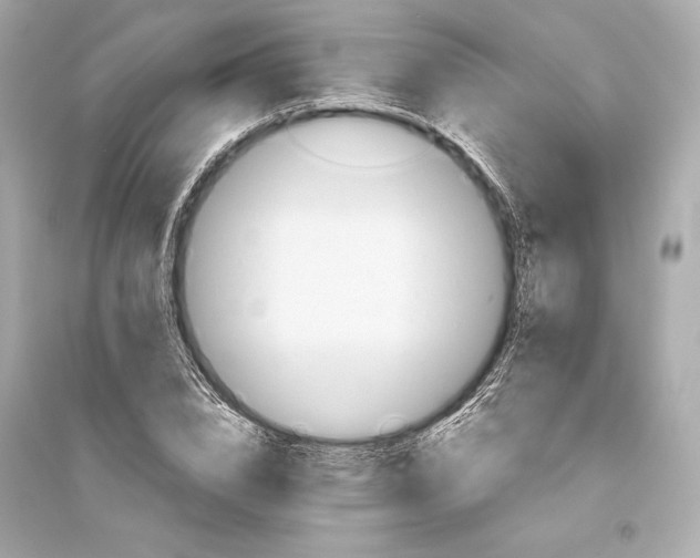 X0000094810832200711301549