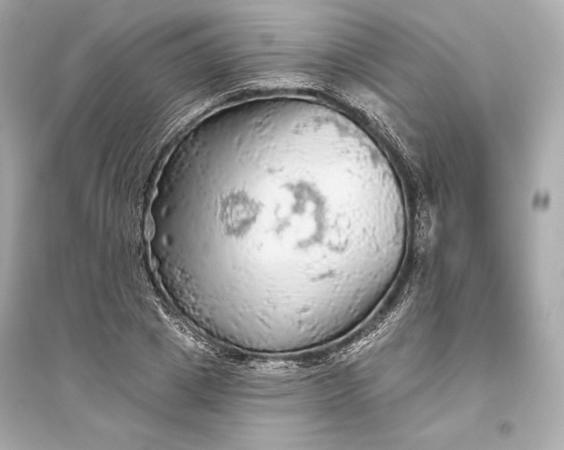 X0000094810833200711301549