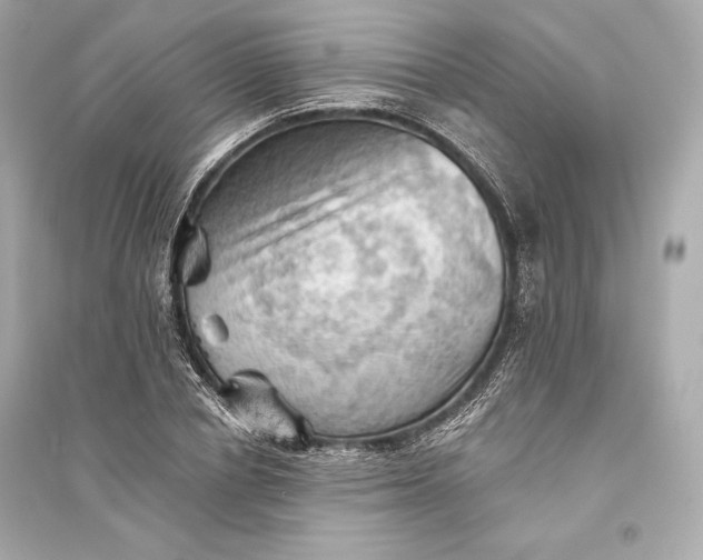 X0000094810834200711301549