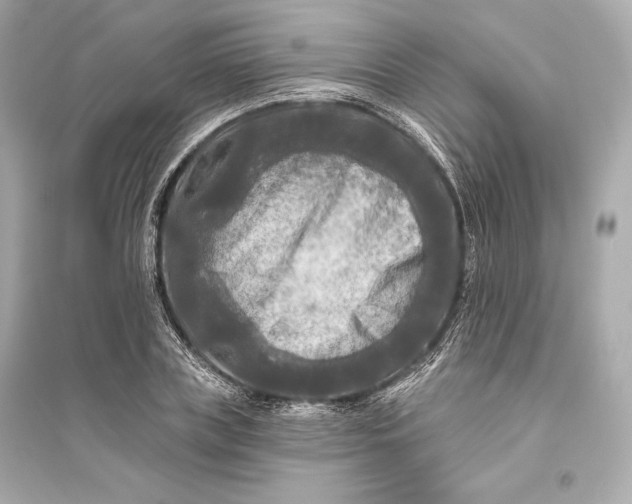 X0000094810835200711301549