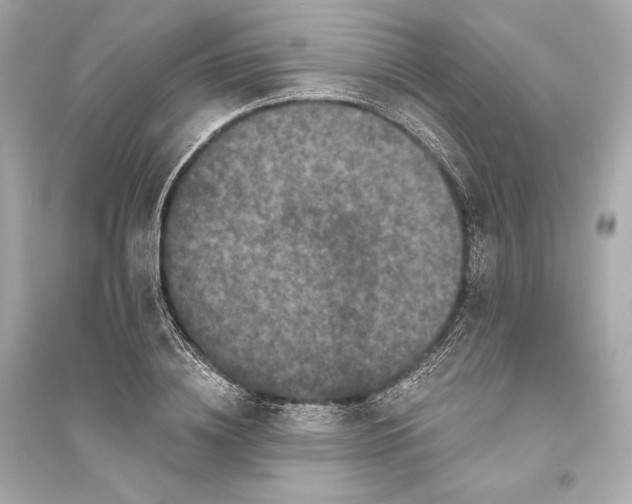 X0000094810836200711301549