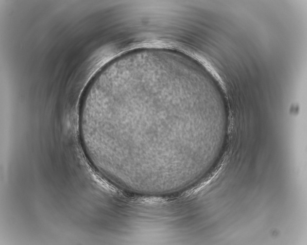 X0000094810837200711301549