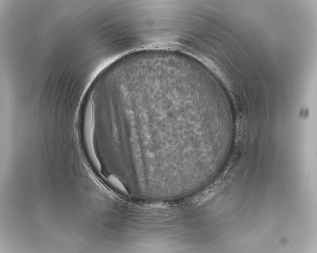 X0000094810838200711301549