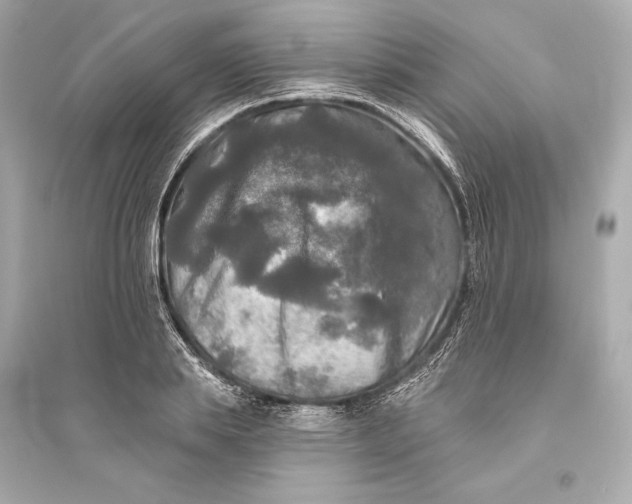 X0000094810839200711301549