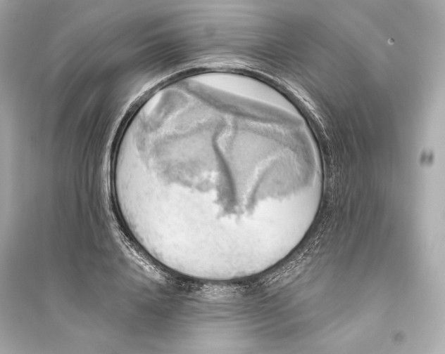 X0000094810840200711301549