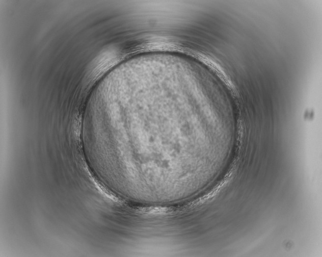 X0000094810841200711301549