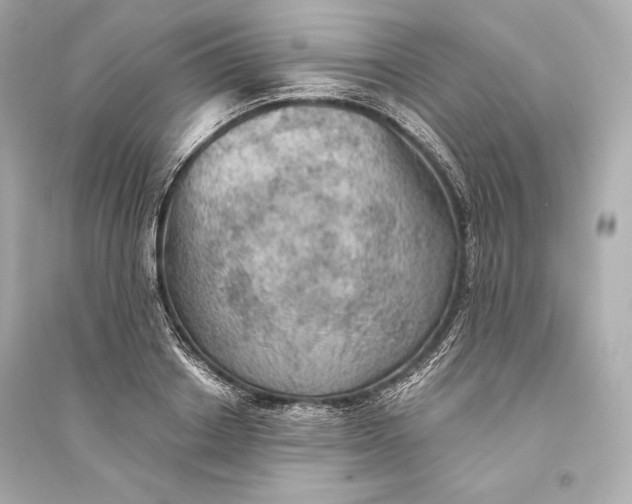 X0000094810842200711301550