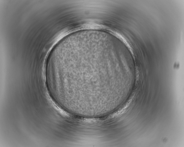 X0000094810843200711301550