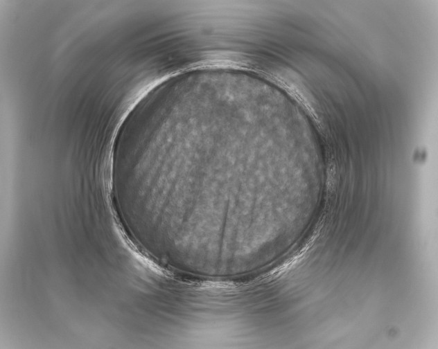 X0000094810844200711301550