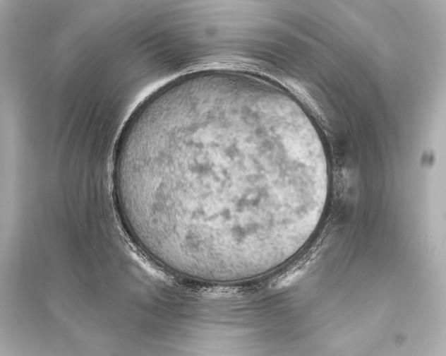 X0000094810846200711301550