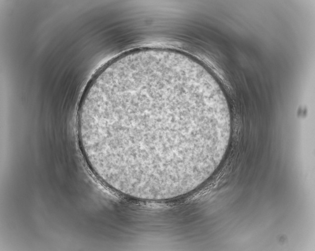 X0000094810848200711301550