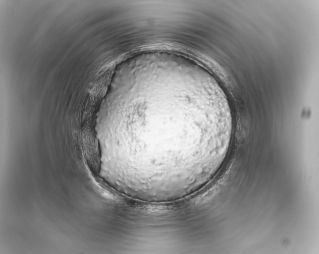 X0000094810849200711301550