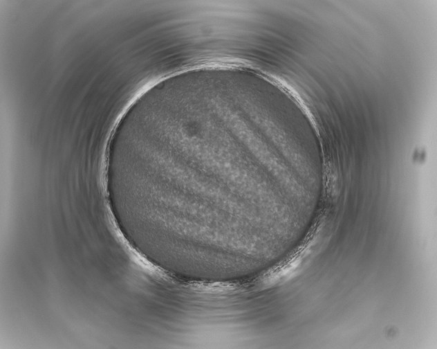 X0000094810851200711301550