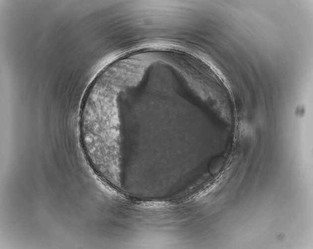 X0000094810853200711301550