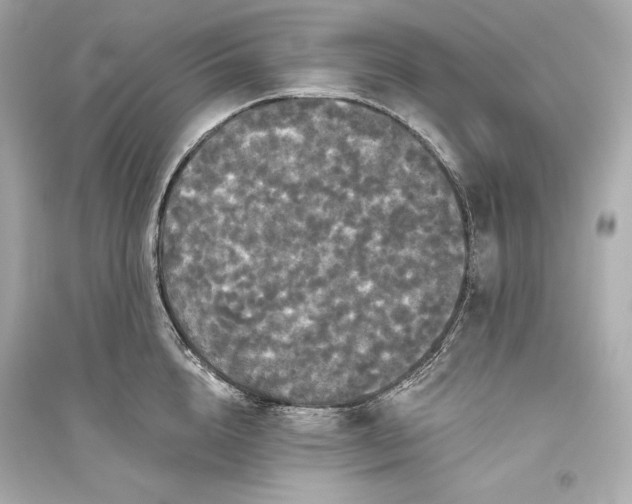 X0000094810856200711301550