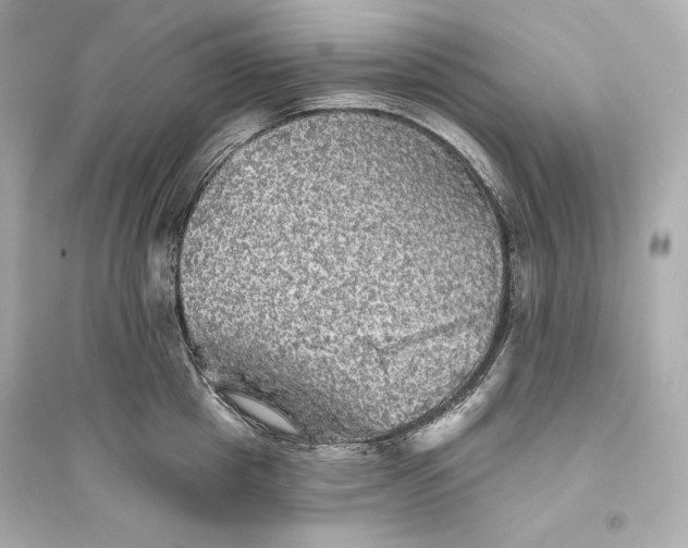 X0000094810857200711301550